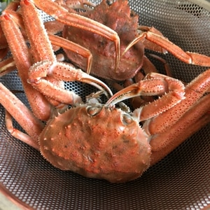 トゲクリガニのゆで方 レシピ 作り方 By 林檎じゃむ 楽天レシピ トゲクリガニのゆで方 レシピ 作り方 By 林檎じゃむ 楽天レシピ